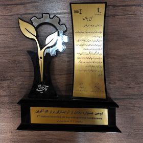 علی کارینو - آرایشگر برتر